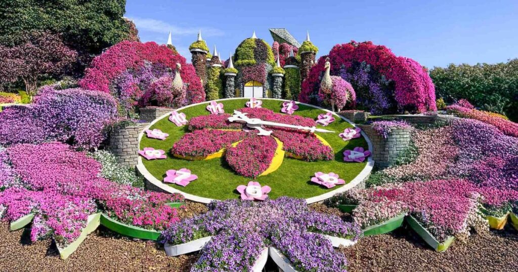 Dubai Miracle Garden