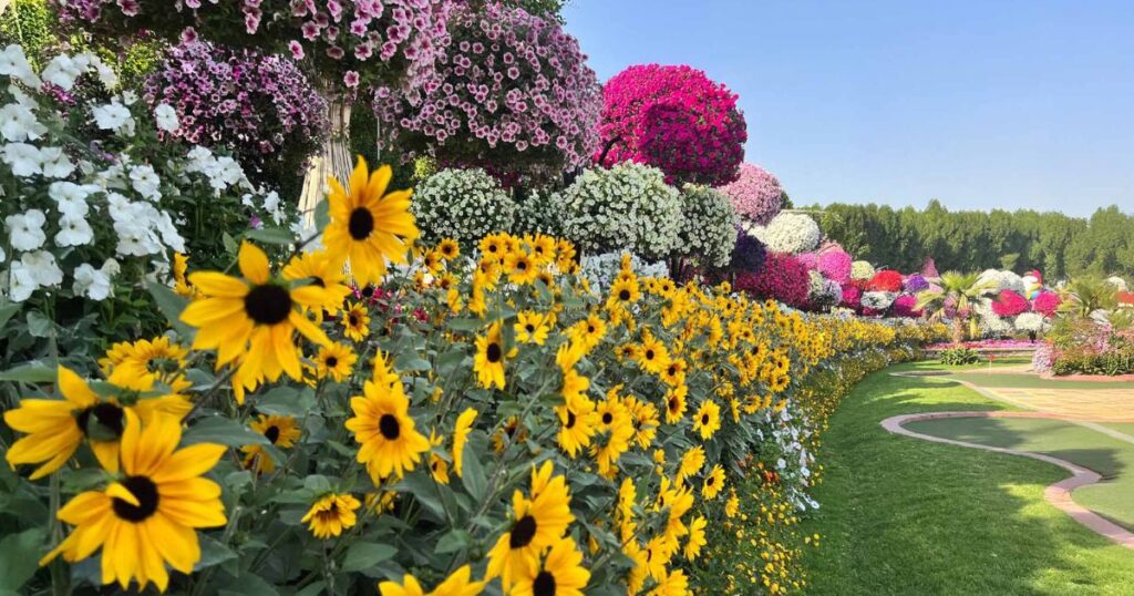 Dubai Miracle Garden