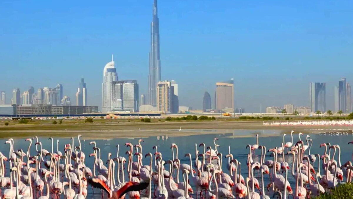 Ras Al Khor Dubai